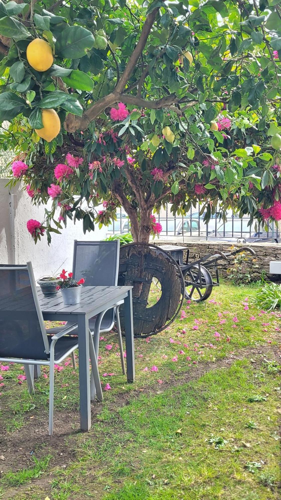 Besbello Suites Apartamento Santiago de Compostela Exteriör bild