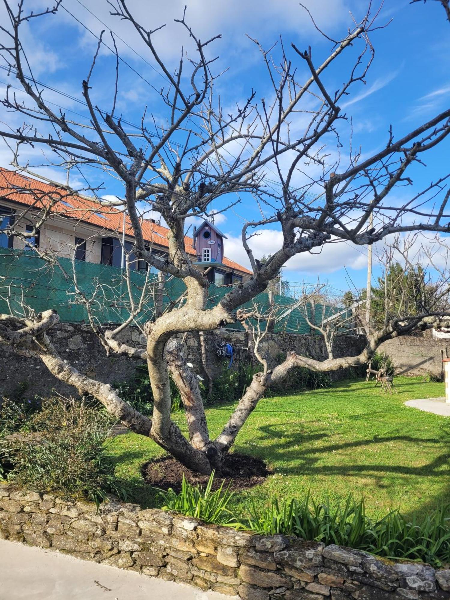 Besbello Suites Apartamento Santiago de Compostela Exteriör bild