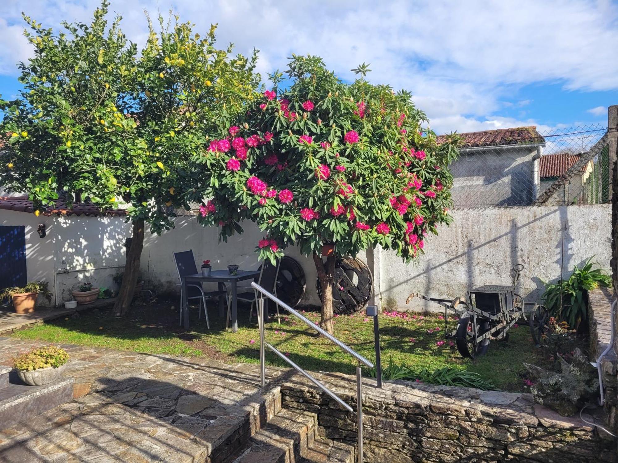 Besbello Suites Apartamento Santiago de Compostela Exteriör bild